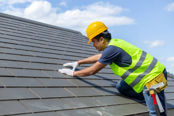 Roof Gutter Cleaning in Athens, MI